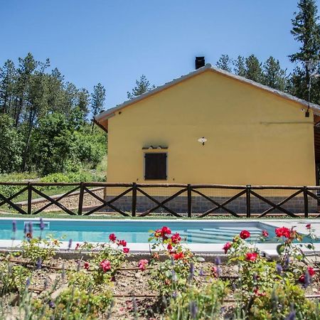 Il Ginepro Villa Cortona Bagian luar foto