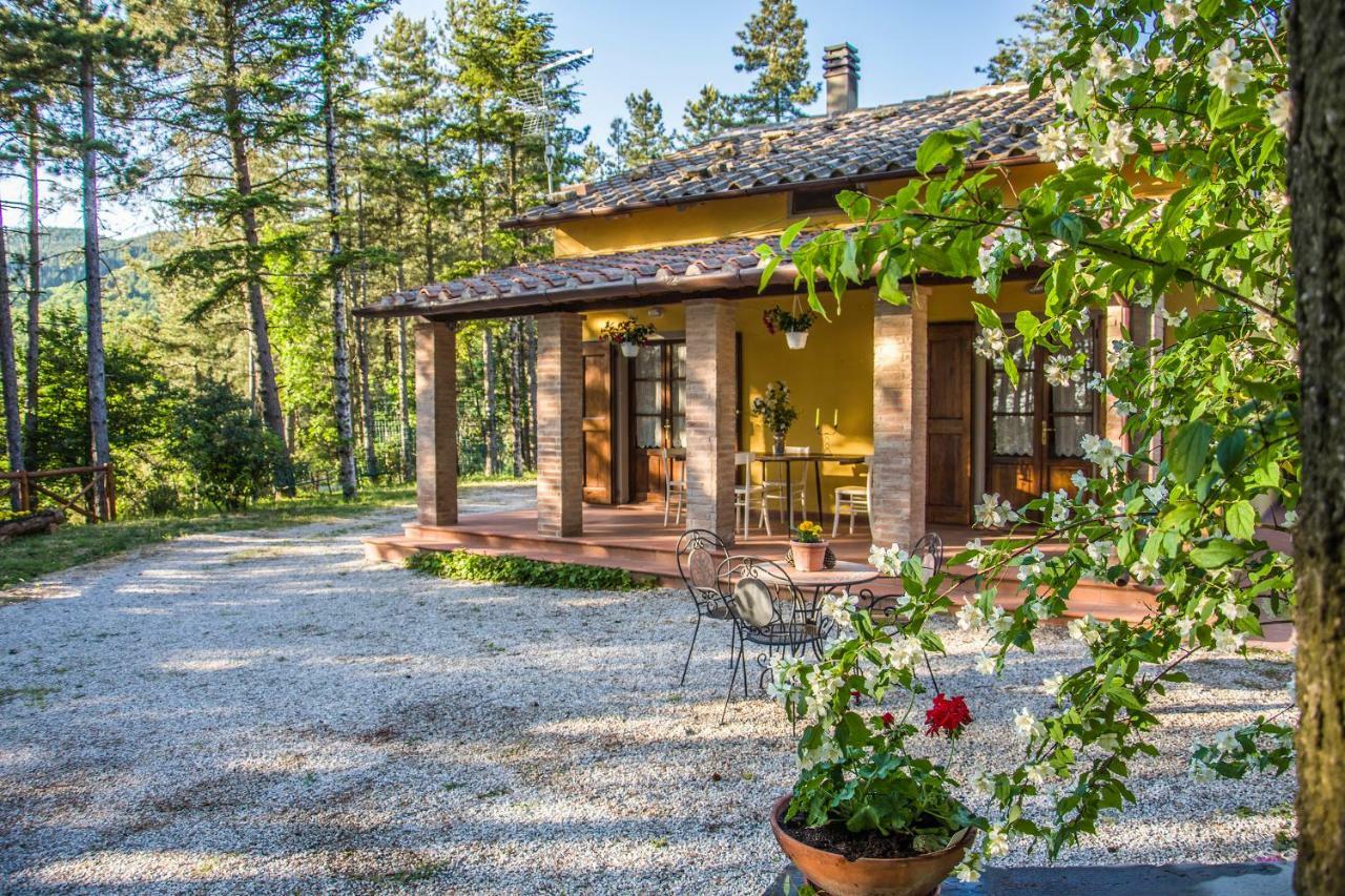 Il Ginepro Villa Cortona Bagian luar foto