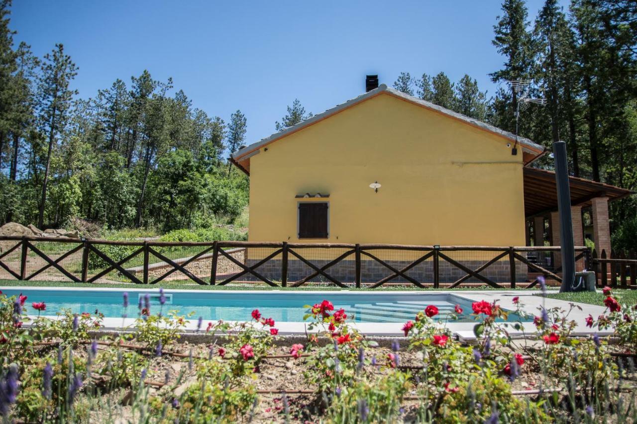 Il Ginepro Villa Cortona Bagian luar foto